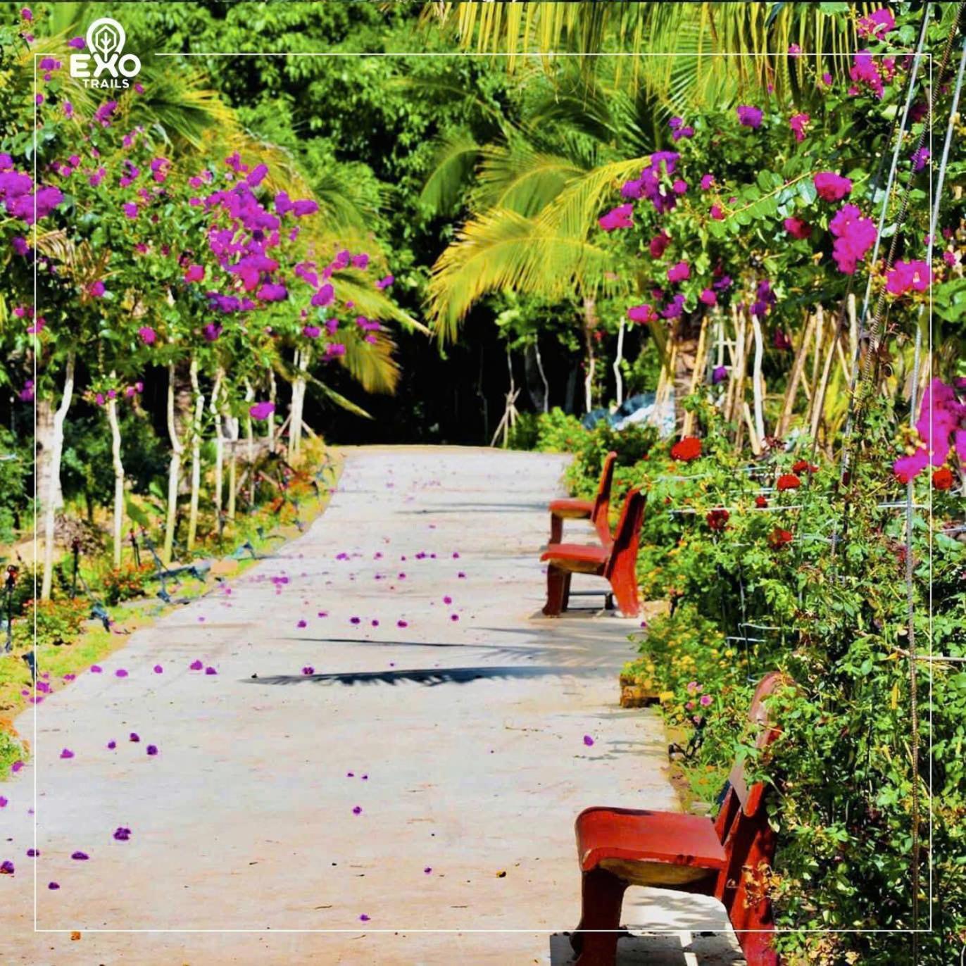 קאט טיין Phu Dien Homestay מראה חיצוני תמונה