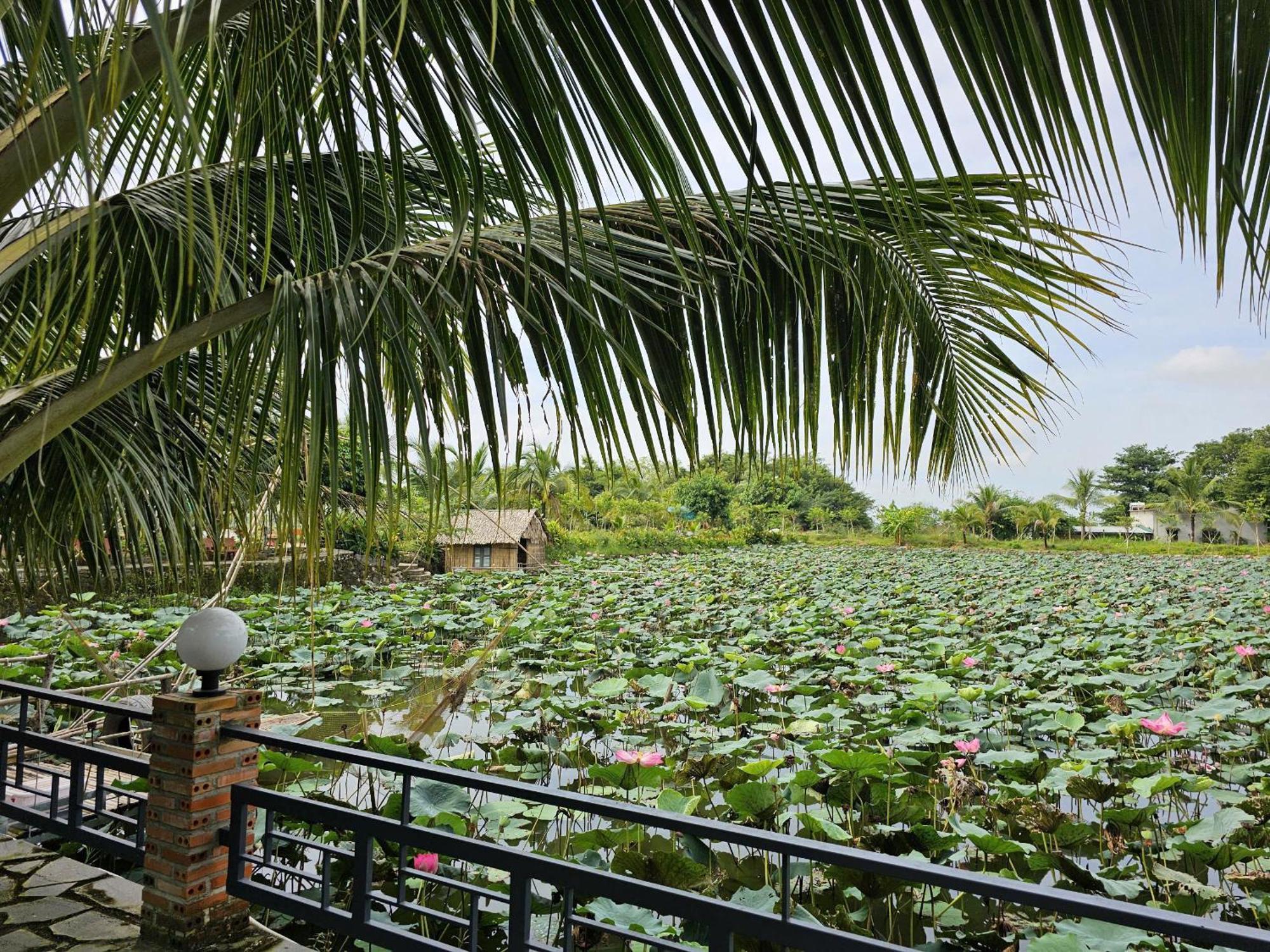 קאט טיין Phu Dien Homestay מראה חיצוני תמונה